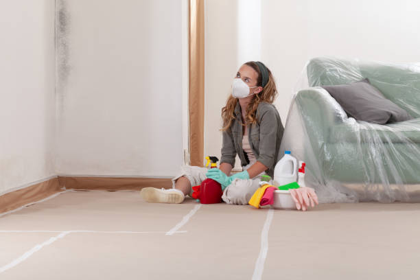 Reliable Mold Cleanup contractor in Bellevue, MI by Cheap Mold Removal